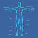 Shape Tactics High-Performance Shockwave Therapy Device Cavitation Machines
